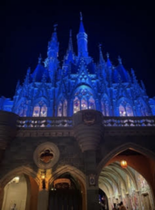 Cinderella's Castle at Night