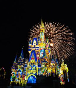 Magic Kingdom Fireworks