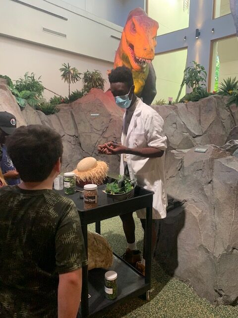 Jurassic Park Discovery Center Universal Orlando