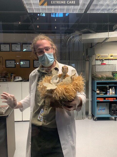 Jurassic Park Discovery Center Universal Orlando