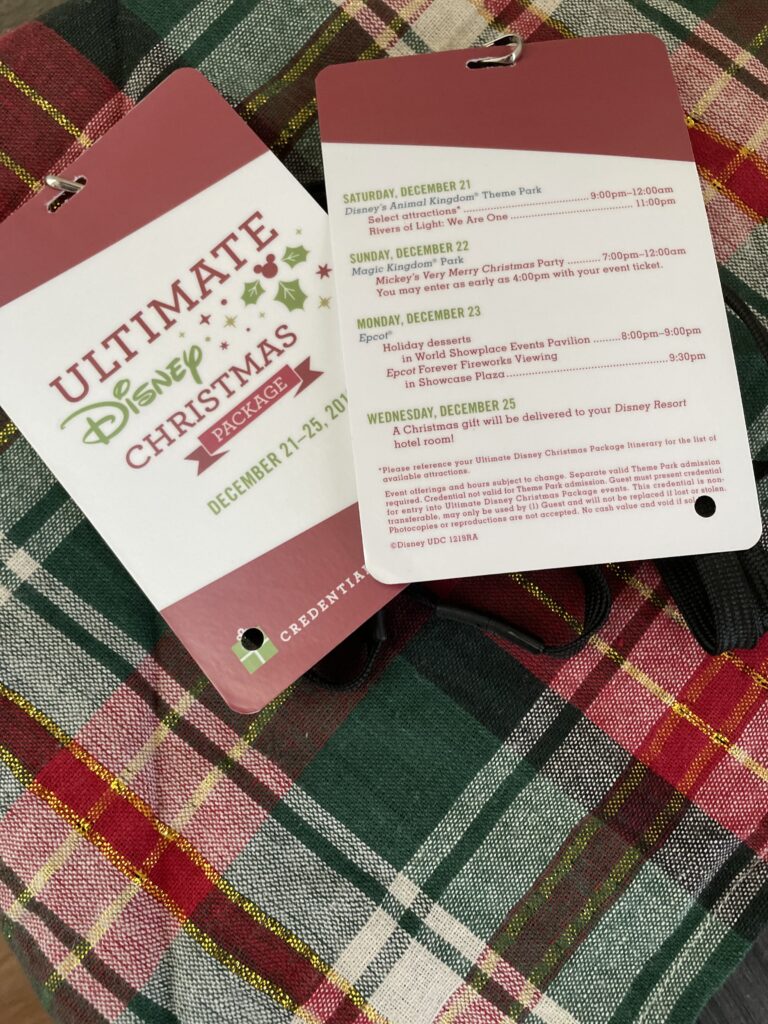 Ultimate Disney Christmas