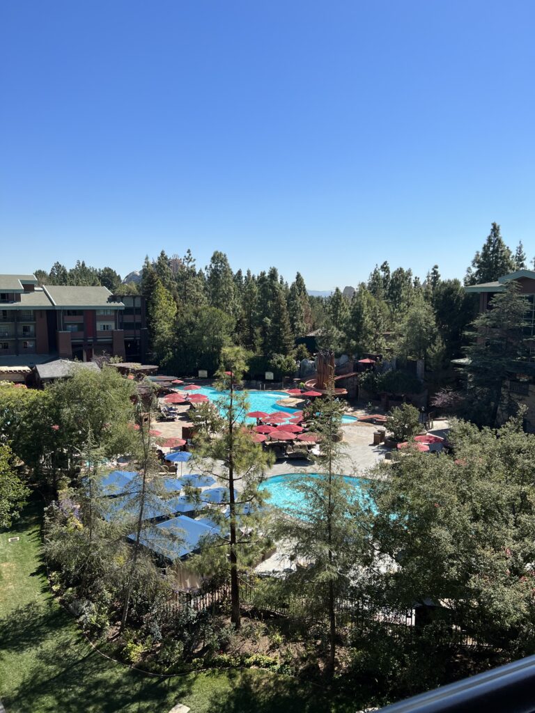 Grand Californian Pools
