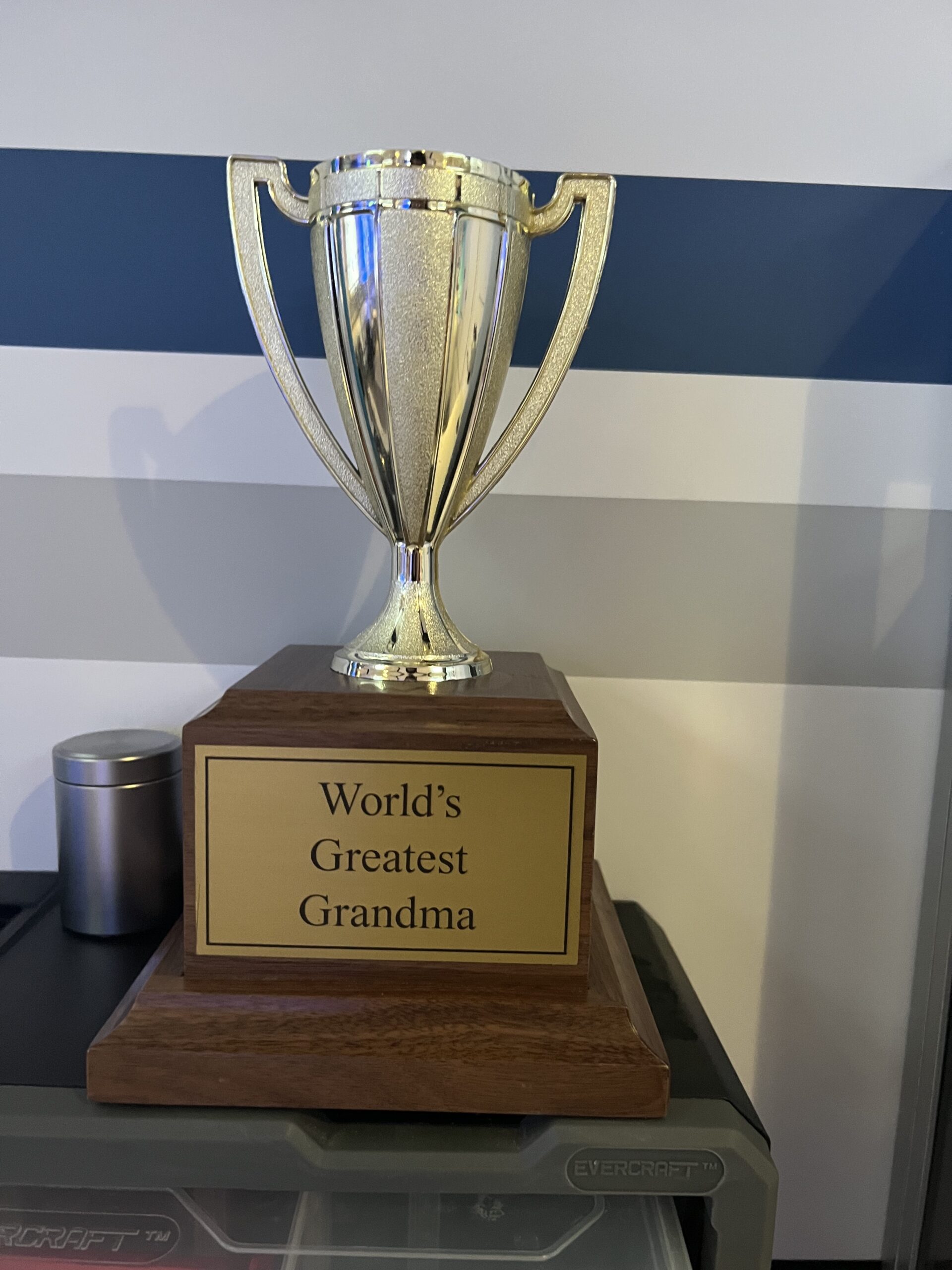 Greatest Grandma Trophy Avengers