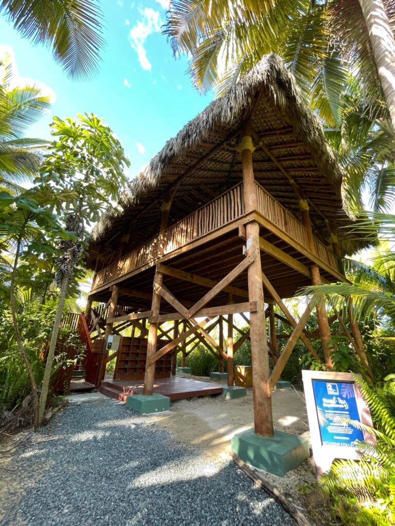 Club Med Miches Playa Esmeralda Treehouse