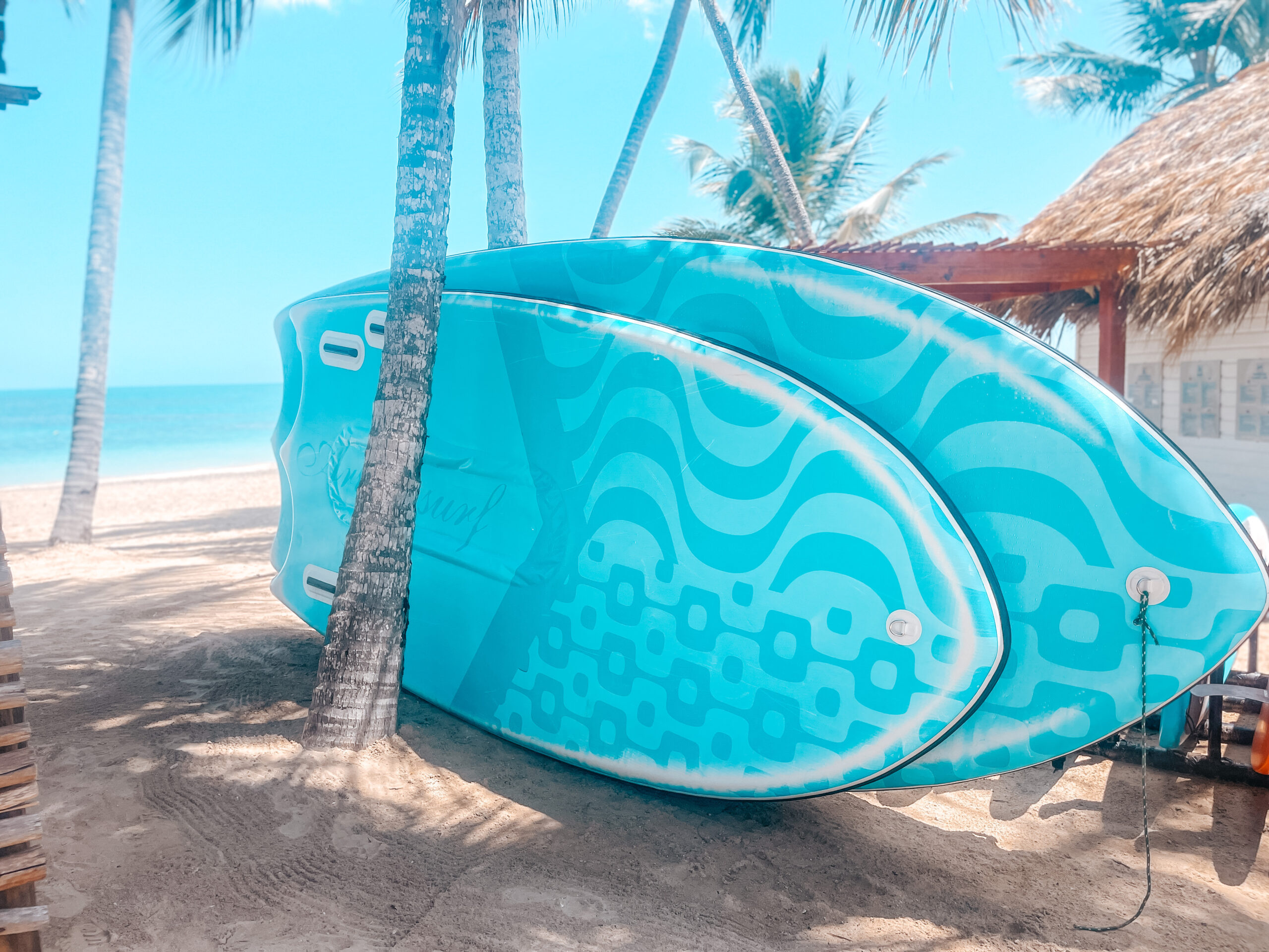 Club Med Paddle Boards