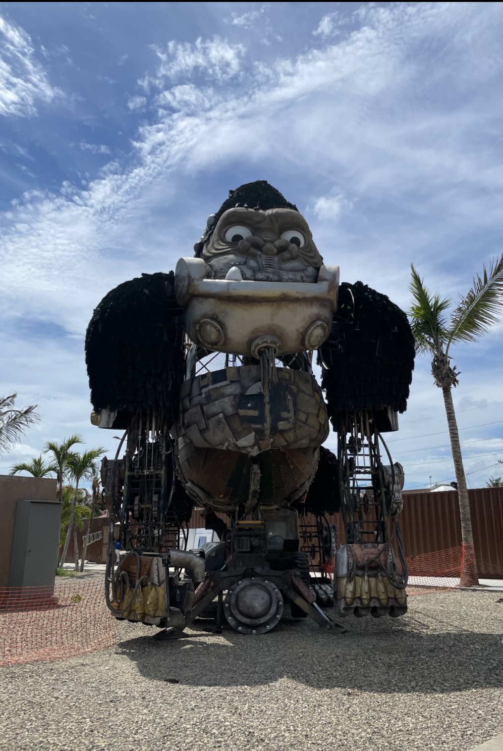 Taino Bay Tour Desk Area