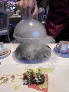 bird's nest wonderland