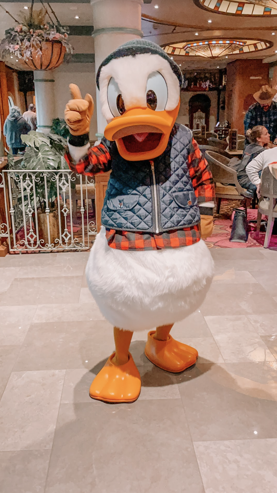 Donald's Outfit Alaska on Disney Cruise Line