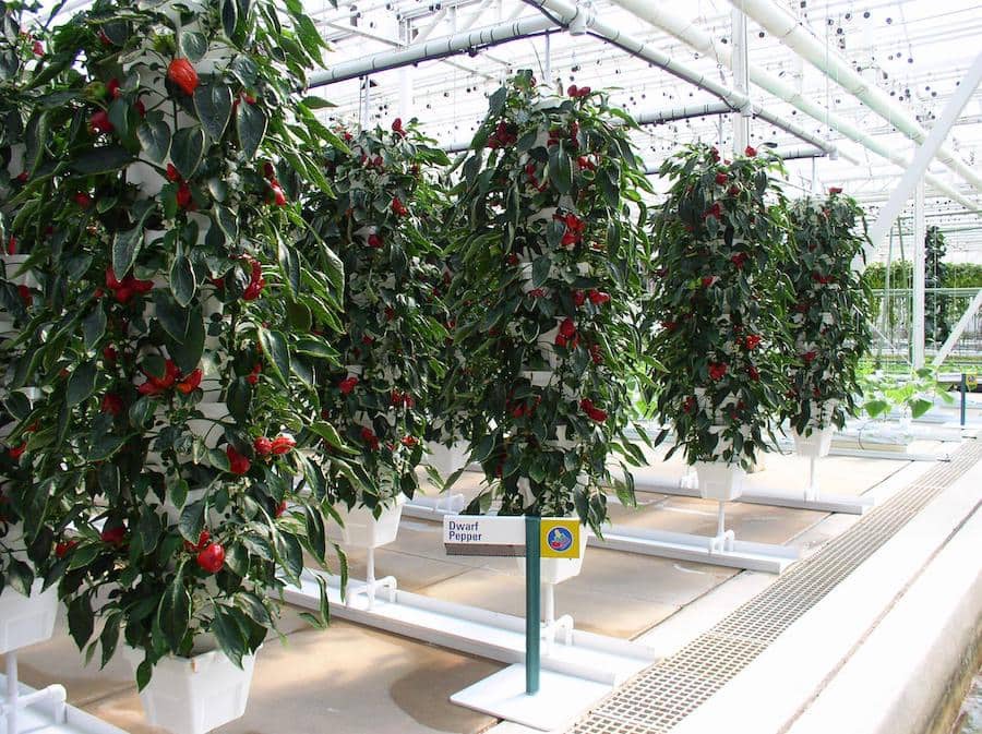 Living with the Land Tour