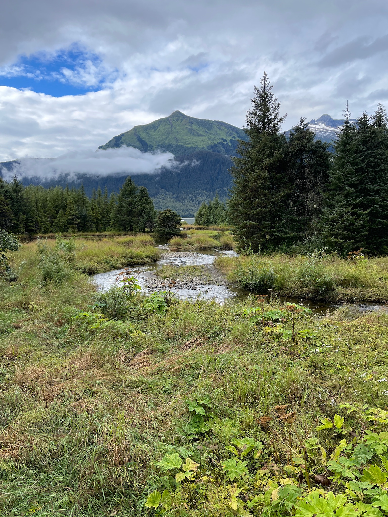 Alaskan Adventure with Royal Caribbean