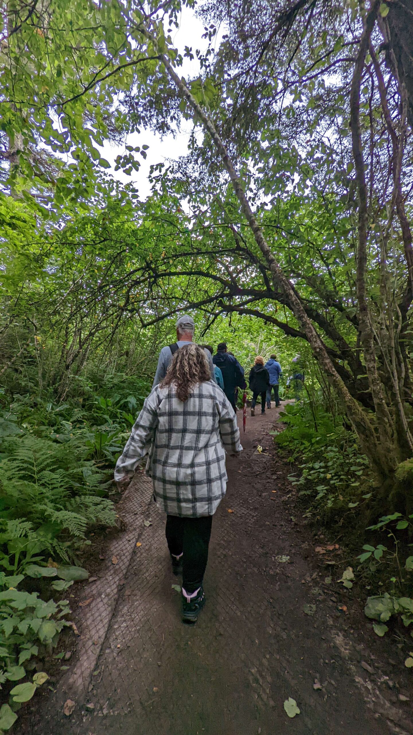 Icy Strait Point Excursion