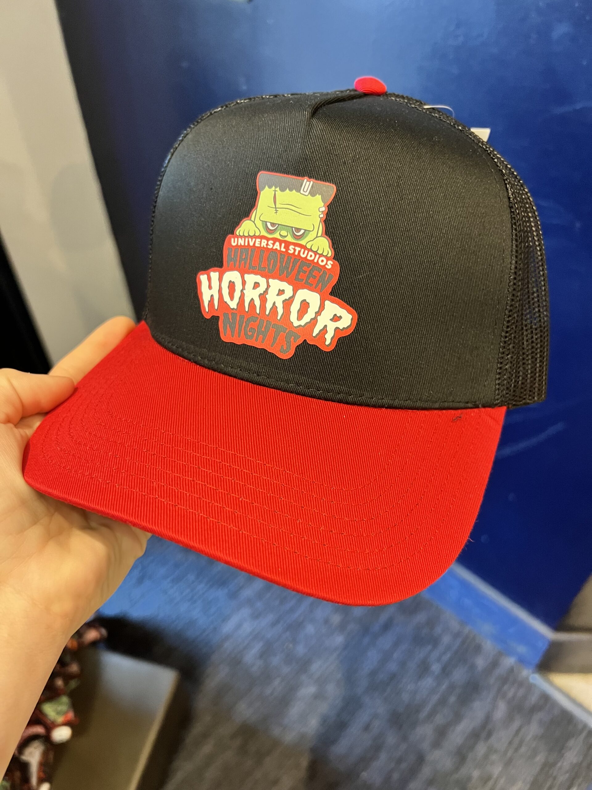 HHN baseball cap