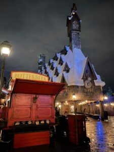 Harry Potter Fan Event