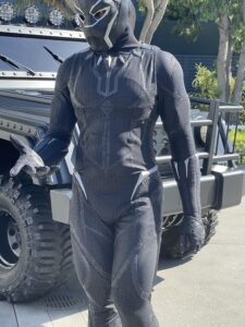 Black Panther Must-Do's at Avengers Campus