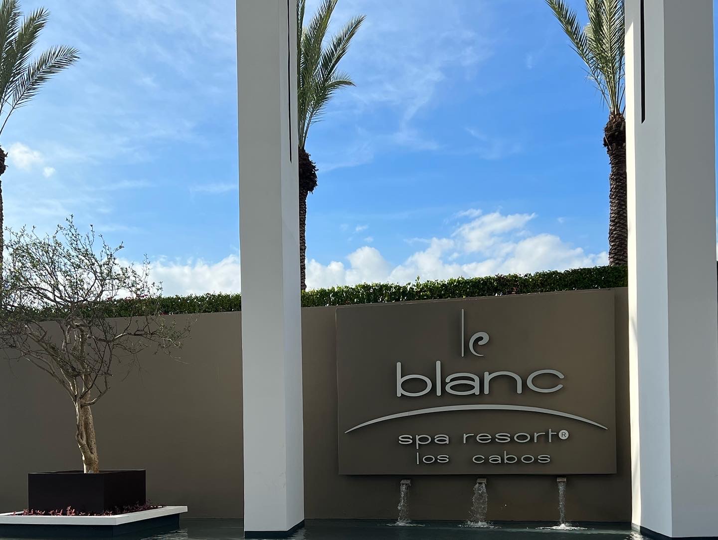 LeBlanc Los Cabos LeBlanc Los Cabos for Group Travel