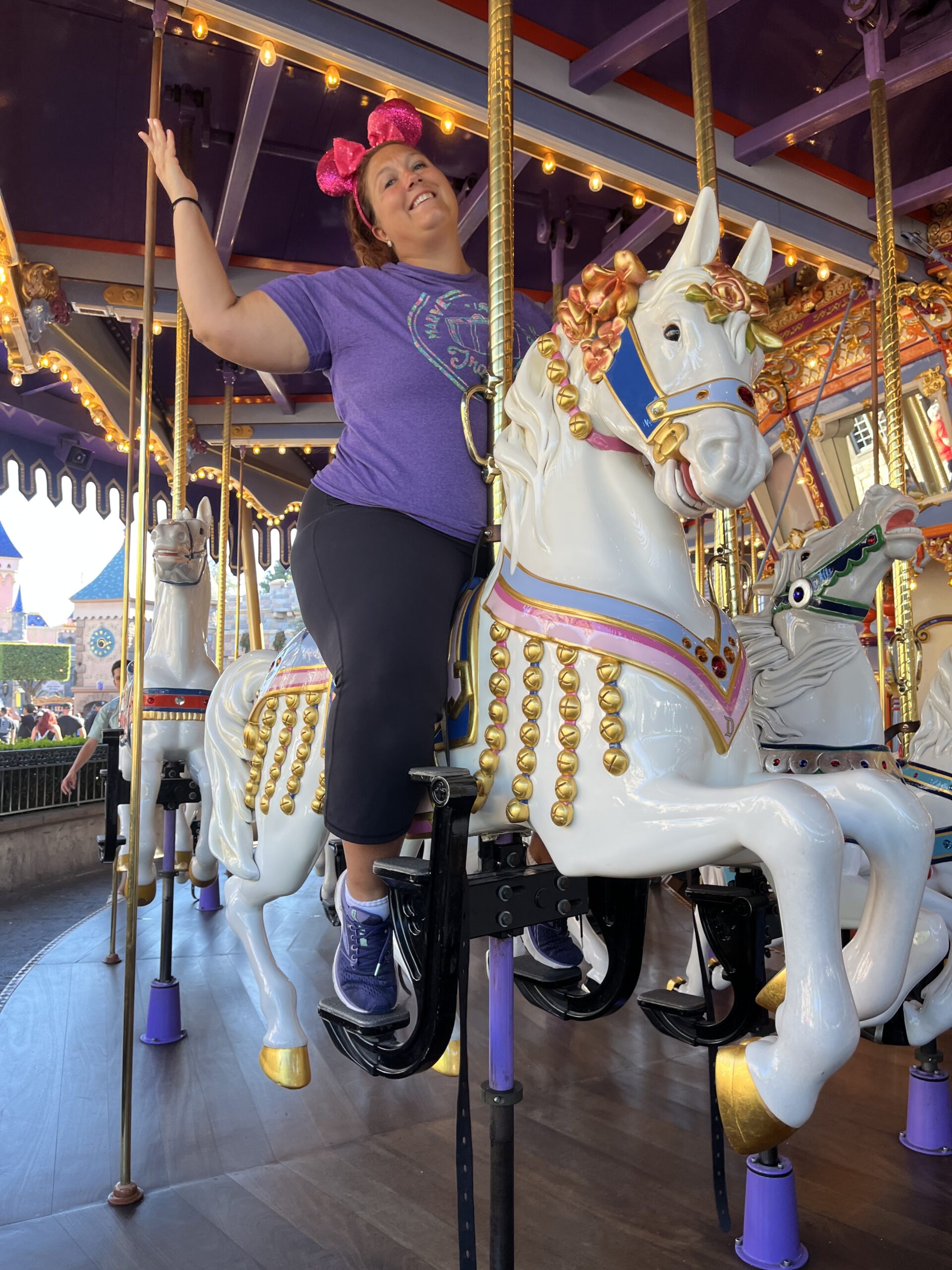 Disneyland carousel