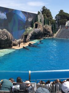 Sea World San Diego