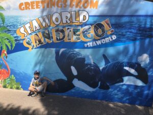 Sea World San Diego