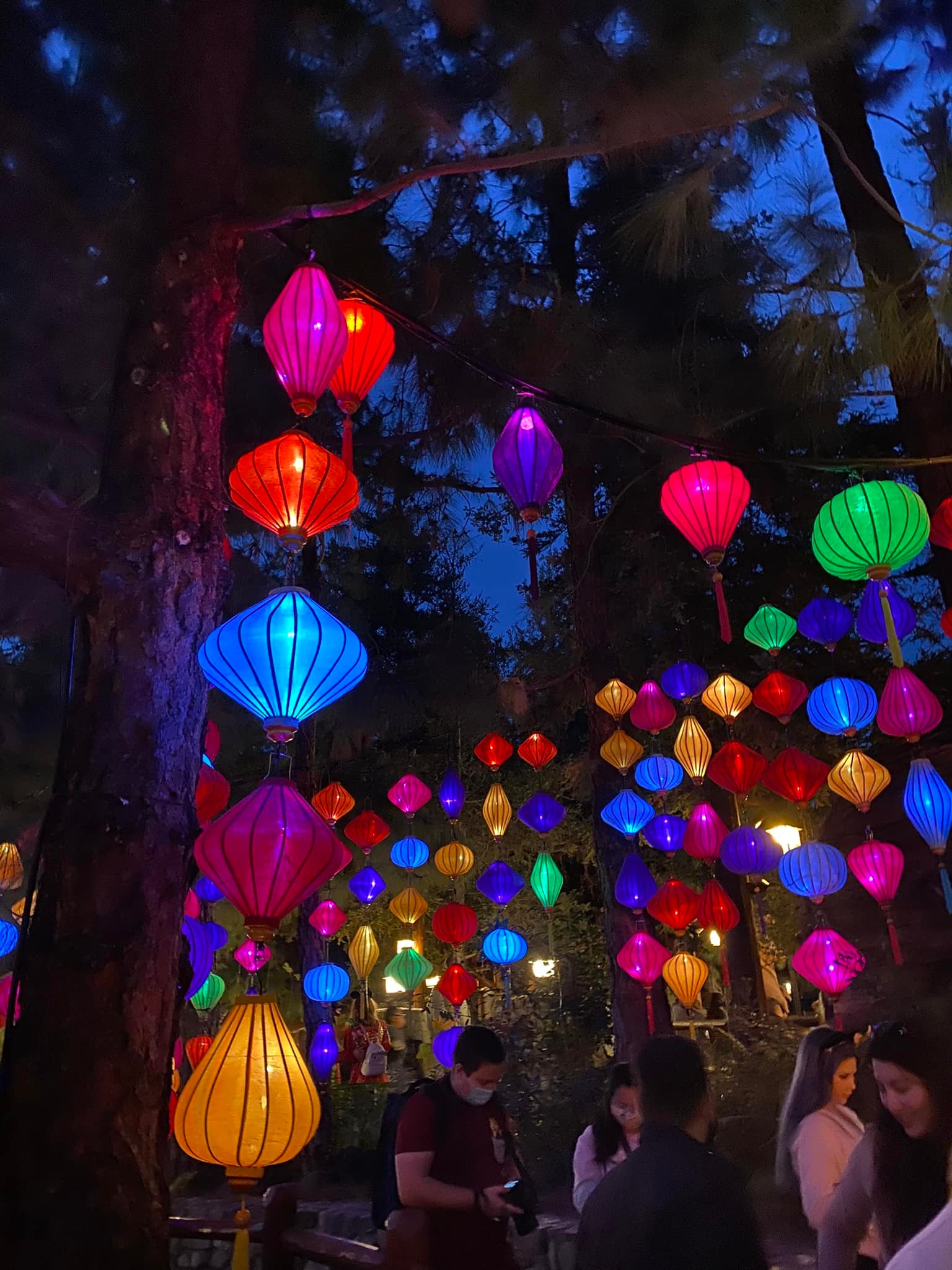 Lanterns California Adventure