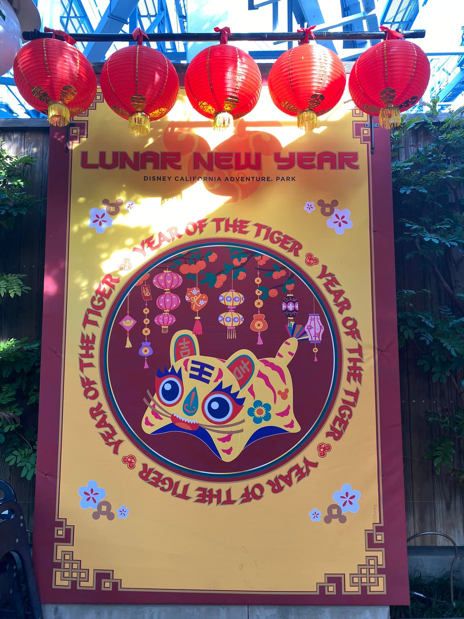 Lunar New Year