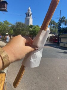 Disneyland Churros 5 Favorite Foods
