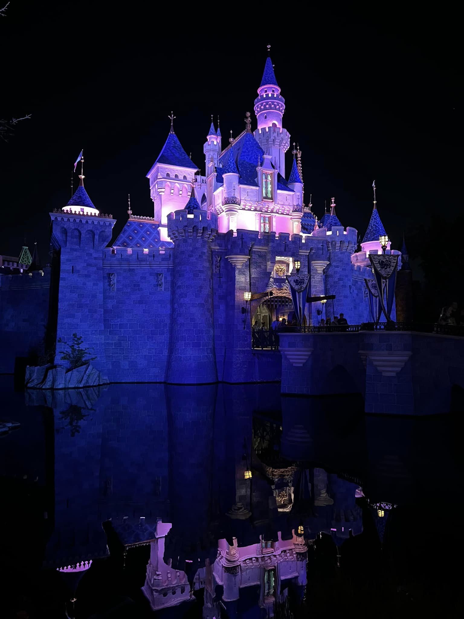 Disney100 Celebration Disneyland