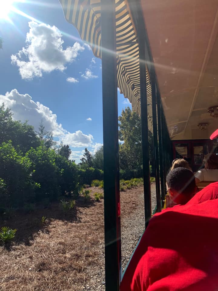 Walt Disney World Railroad