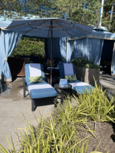 Disneyland Hotel Pool