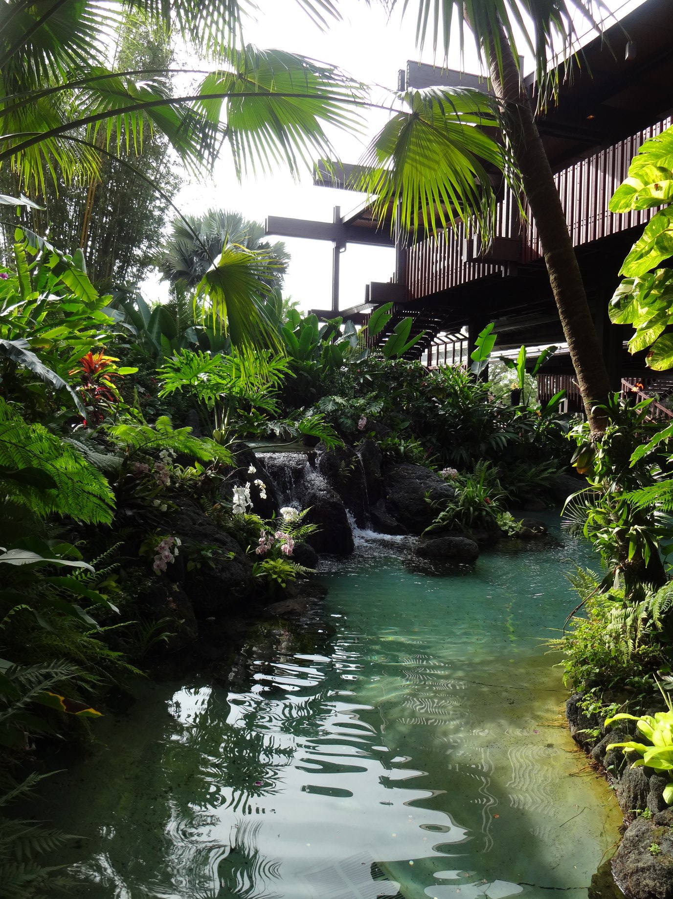 Disney’s Polynesian Village Resort Disney World Resort Renovations