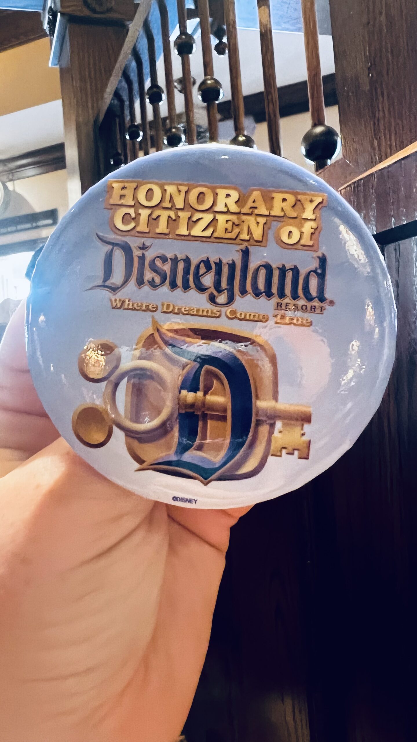 Disneyland Citizen