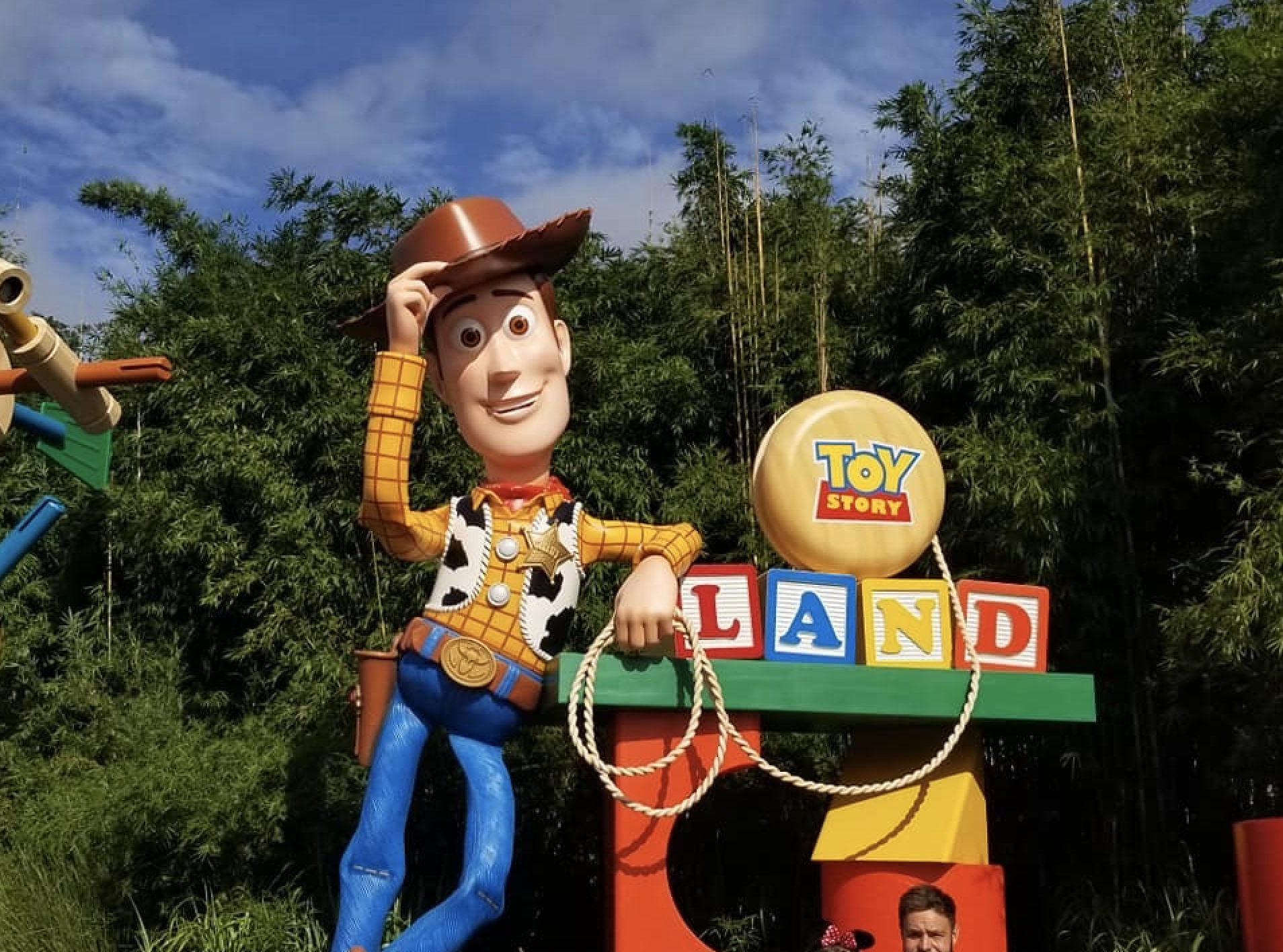Toy Story Land