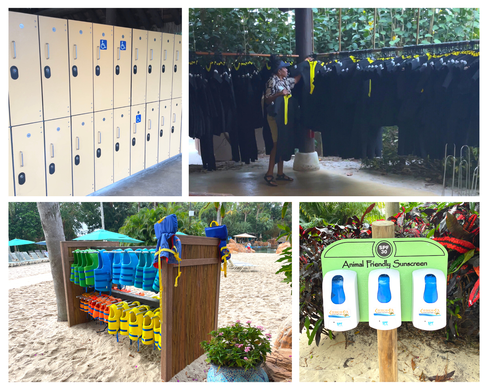 Discovery Cove Amenities