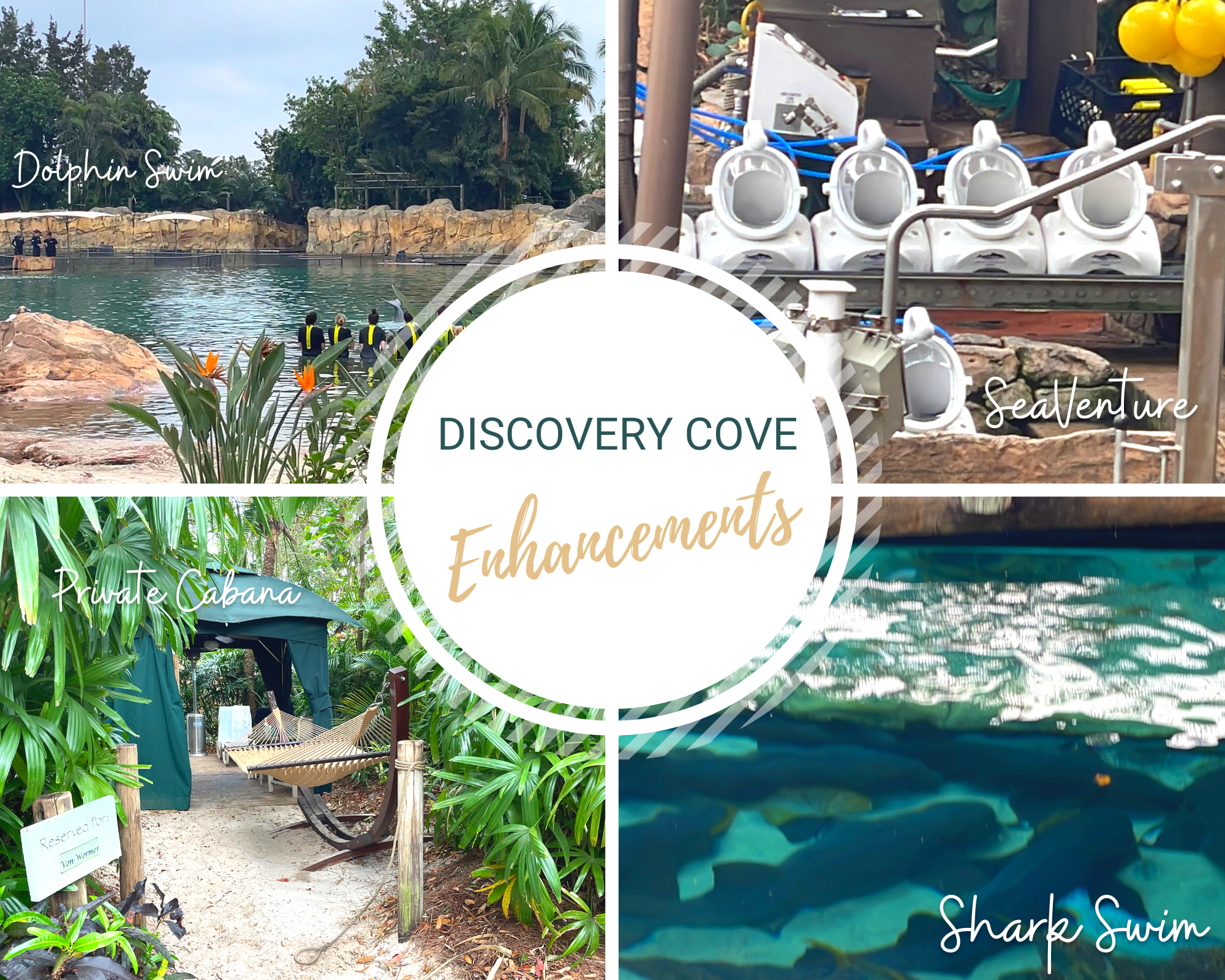 Discovery Cove Extras
