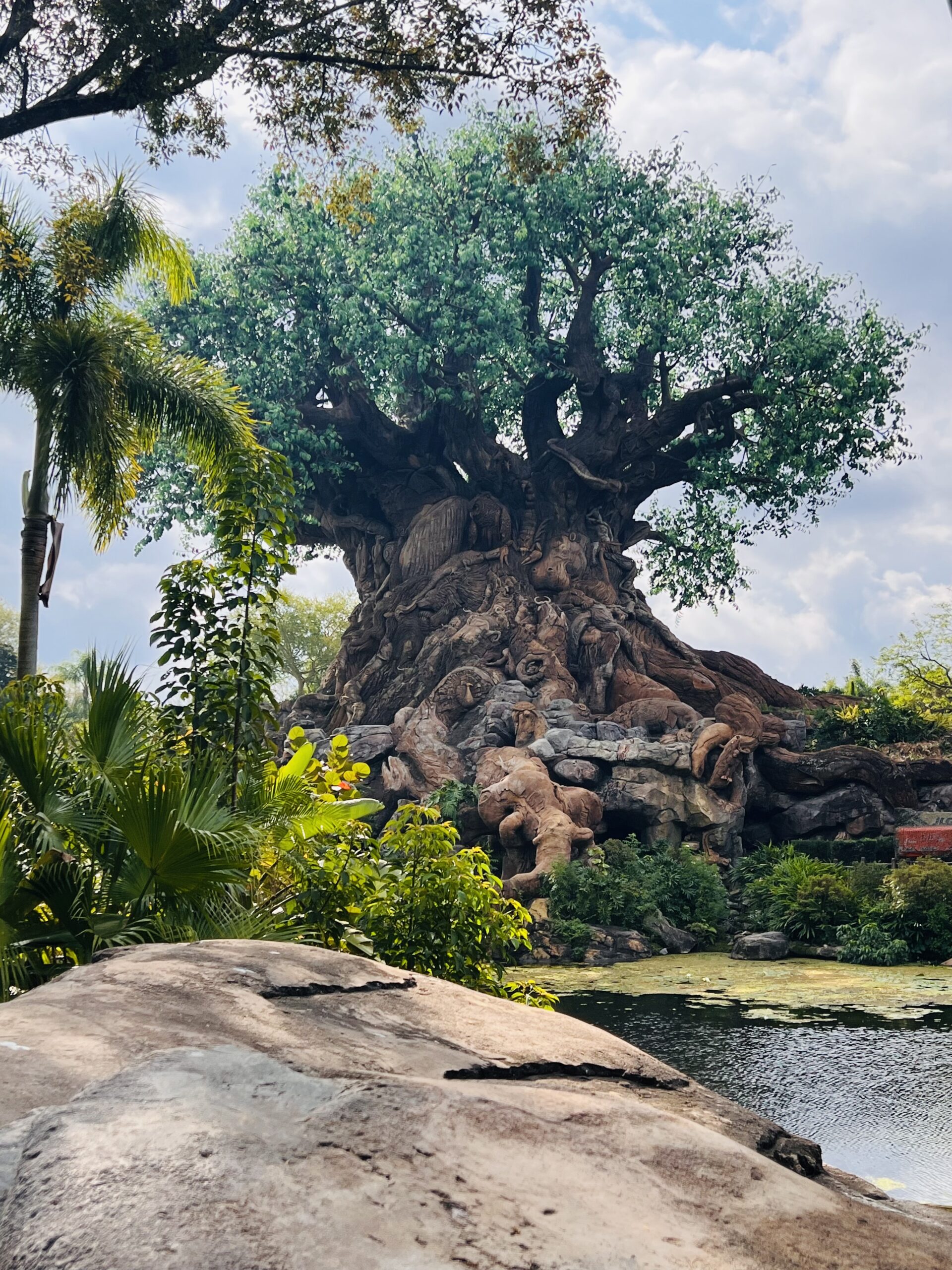 New Adventures at Walt Disney World Animal Kingdom