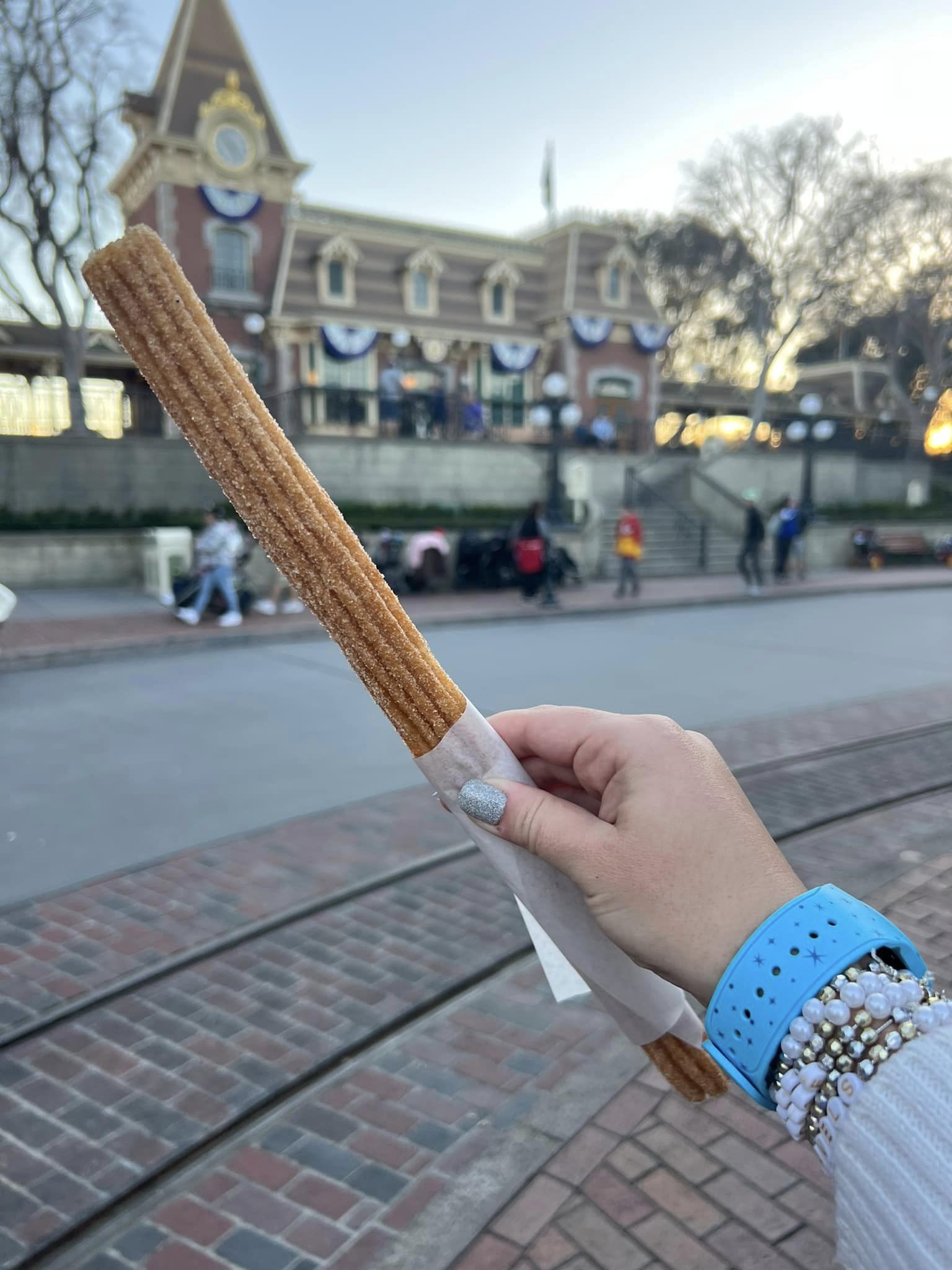 Princess Nite Snacks Churros