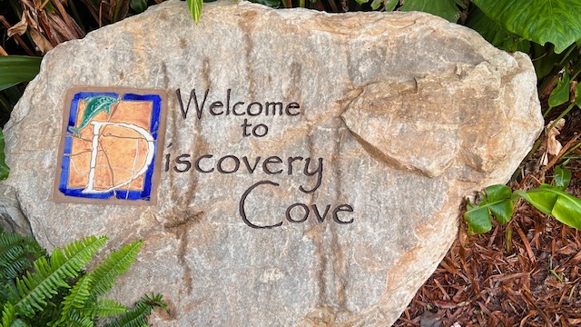 ¿Qué es Discovery Cove?