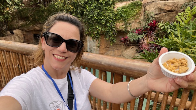 ¿Qué es Discovery Cove?