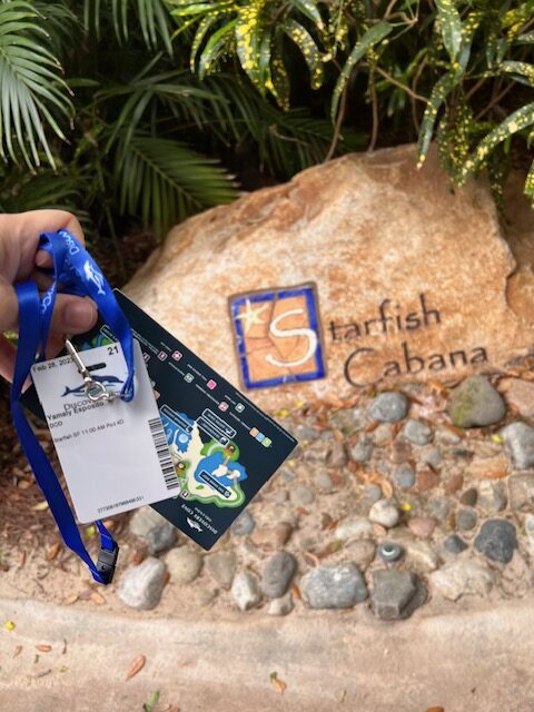 ¿Qué es Discovery Cove?