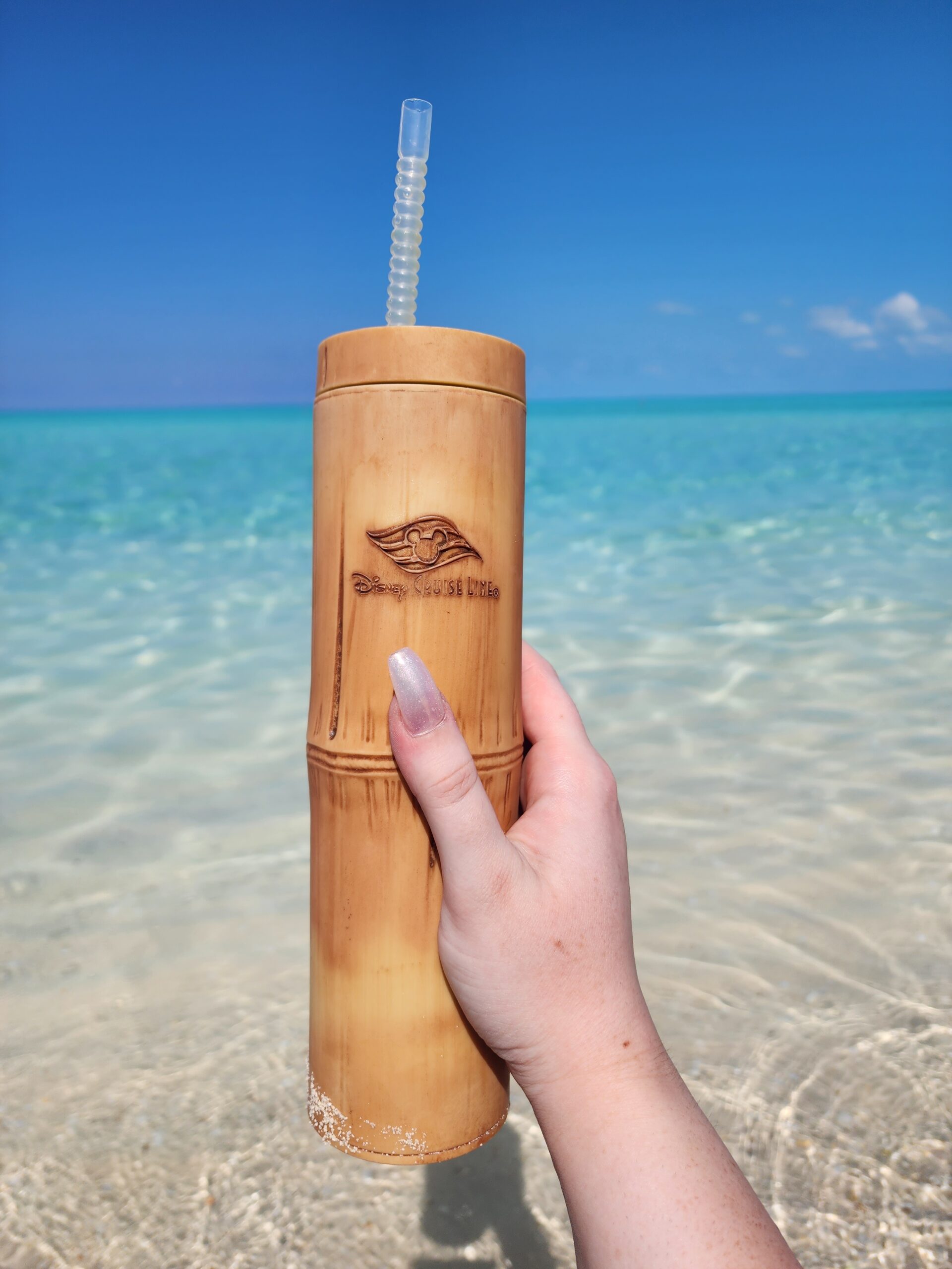 Difference Between Disney Parks and a Disney Cruise