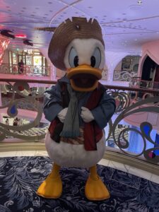 Pirate Donald
