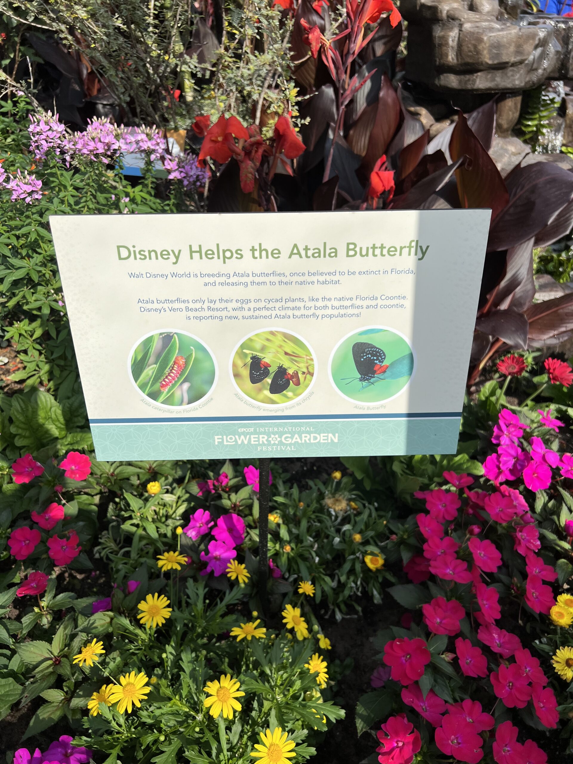 Butterfly Garden International Flower and Garden