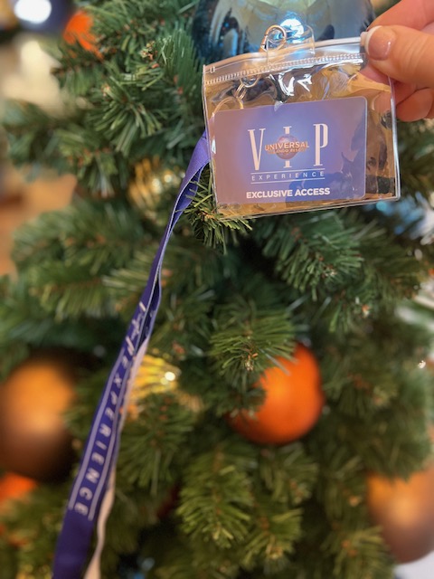 VIP Tour at Universal