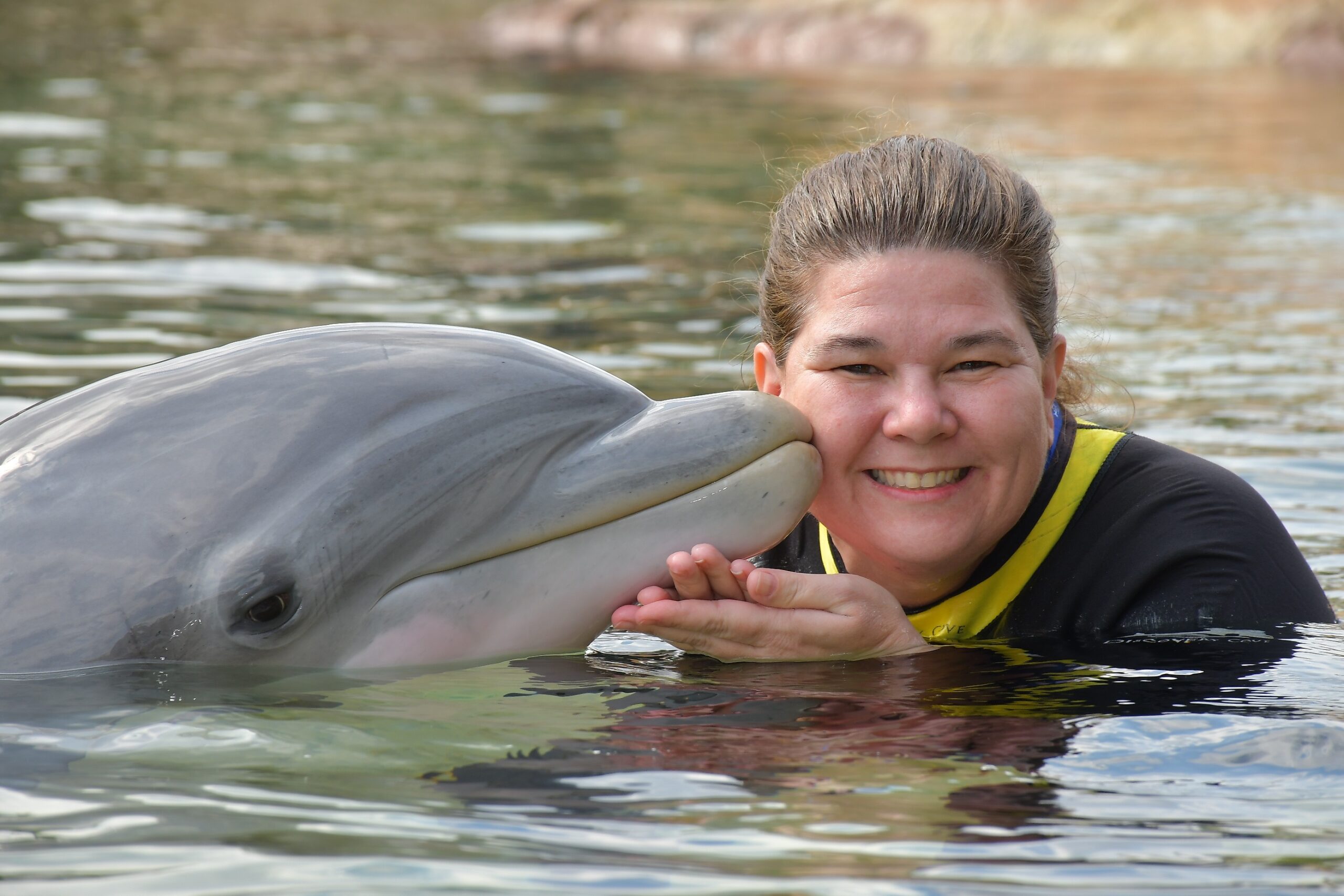 Dolphins at Discovery Cove