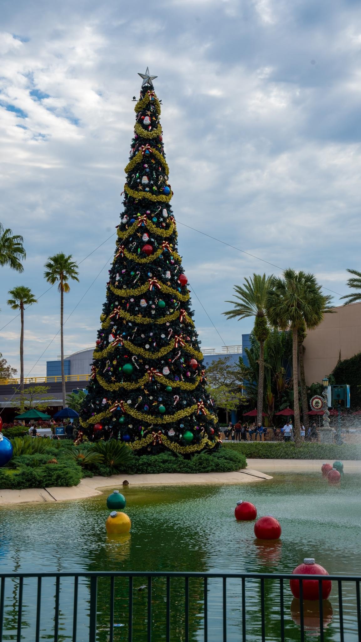 Disney Jollywood Nights