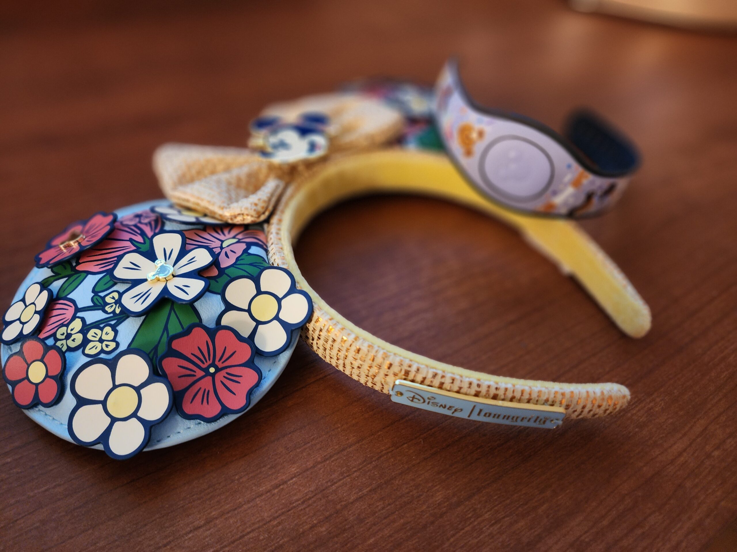 Disney Ears 4 Parks 1 Day Challenge