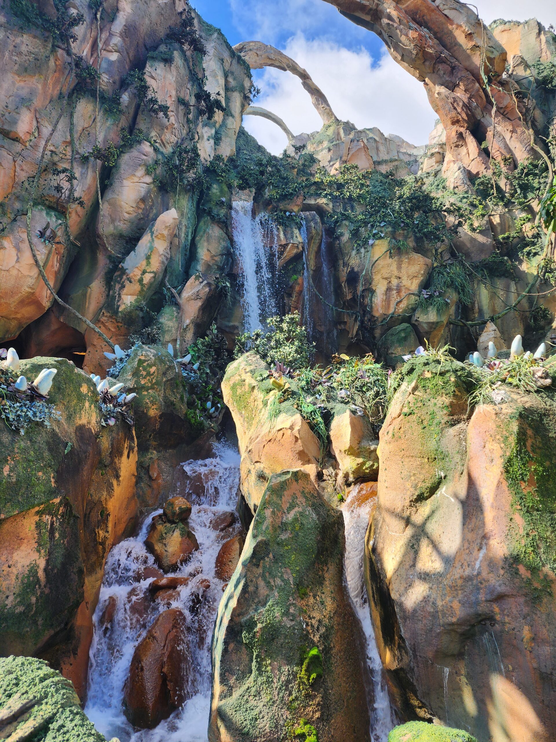 Flight of Passage 4 Parks 1 Day Challenge