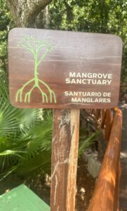 Mangroves
