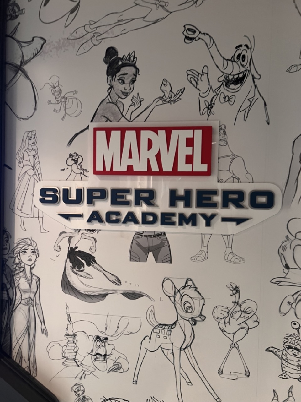 Disney Treasure Revealed Super Hero Academy