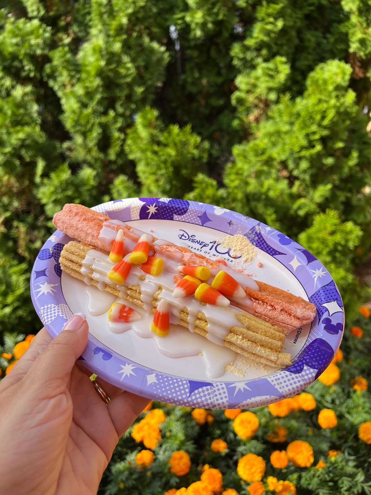 Candy Cane Churro Cars Land at Halloween Time