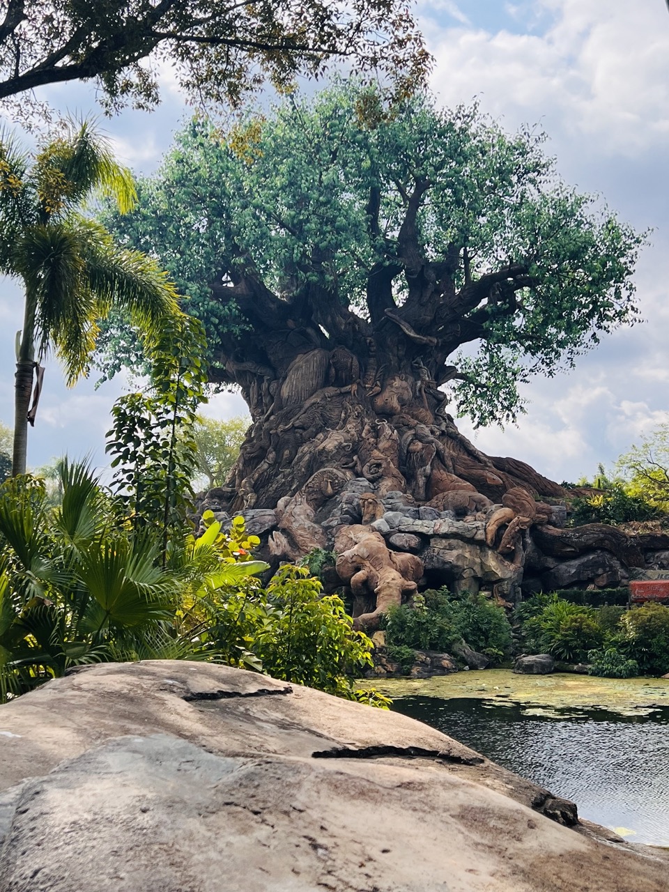 News from Walt Disney World Animal Kingdom